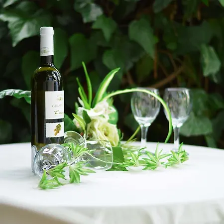 아파트 Ancica 스플리트